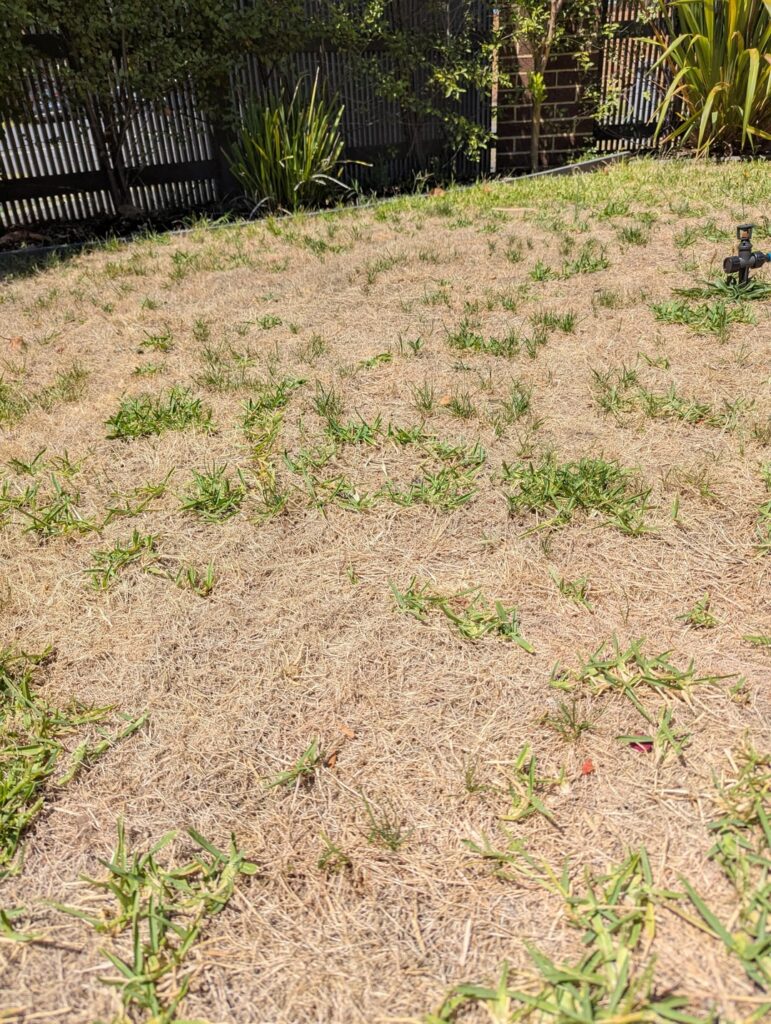 Can this be fixed with just water?