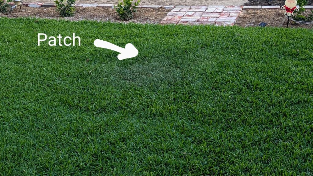 Strange patch on newly rolled Sir Walter Buffalo