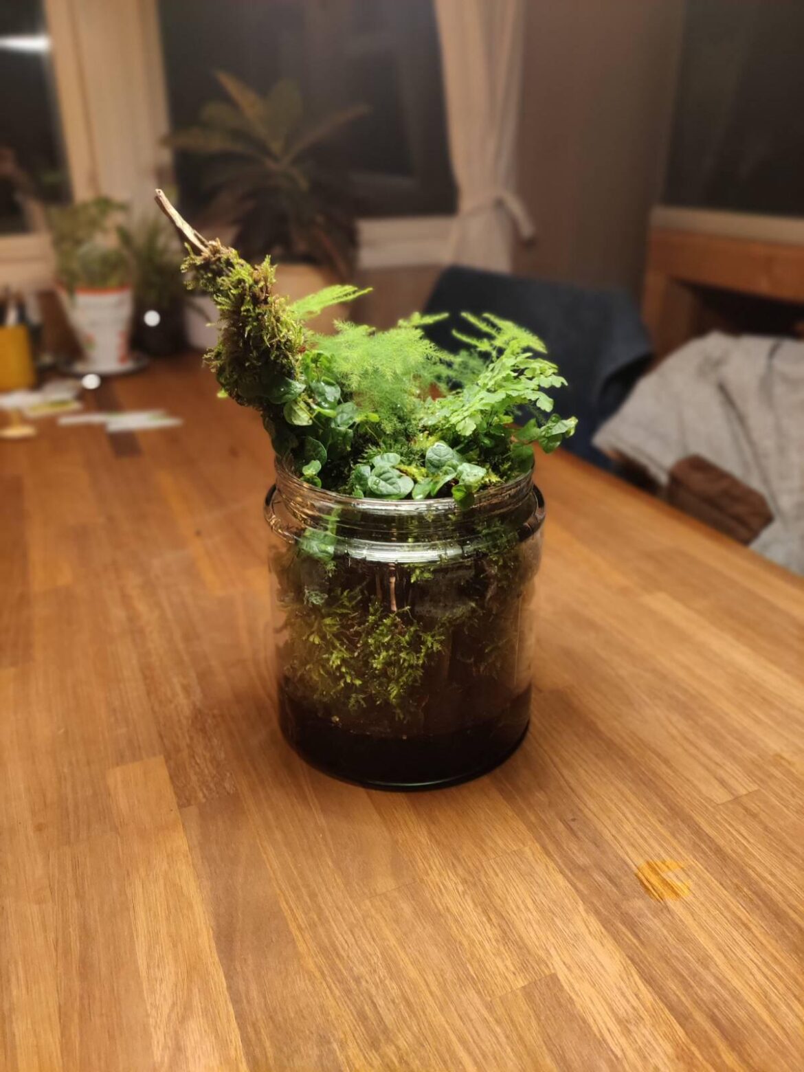Open - ferns n' mosses