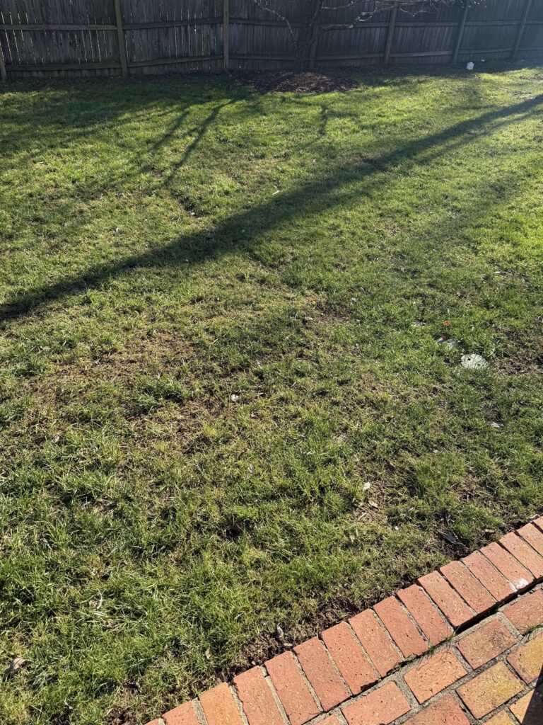 First time lawn owner First time lawn owner