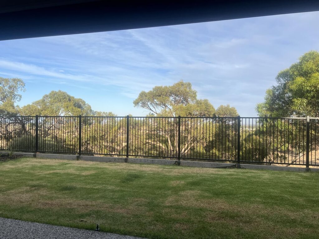 What is happening to my lawn What is happening to my lawn