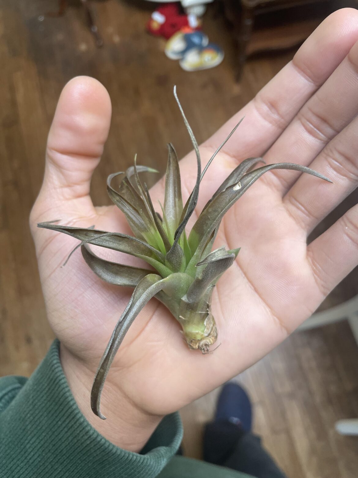 Anyone know what’s going on?