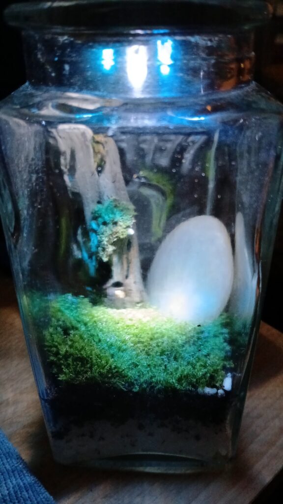 I finished the one last night and found a friend in one of my other terrariums