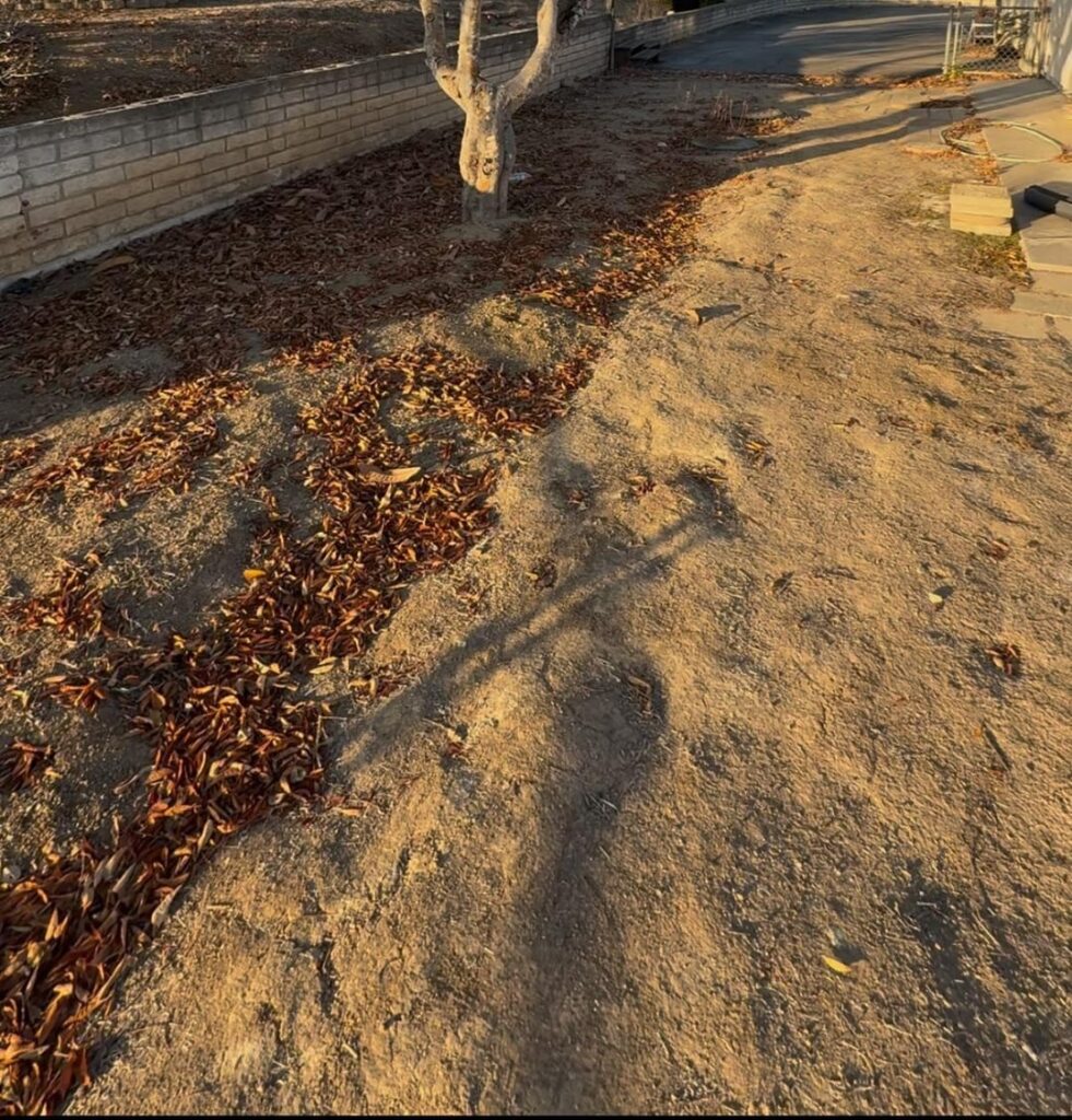 What is the best way to get this hard dirt leveled? What is the best way to get this hard dirt leveled?