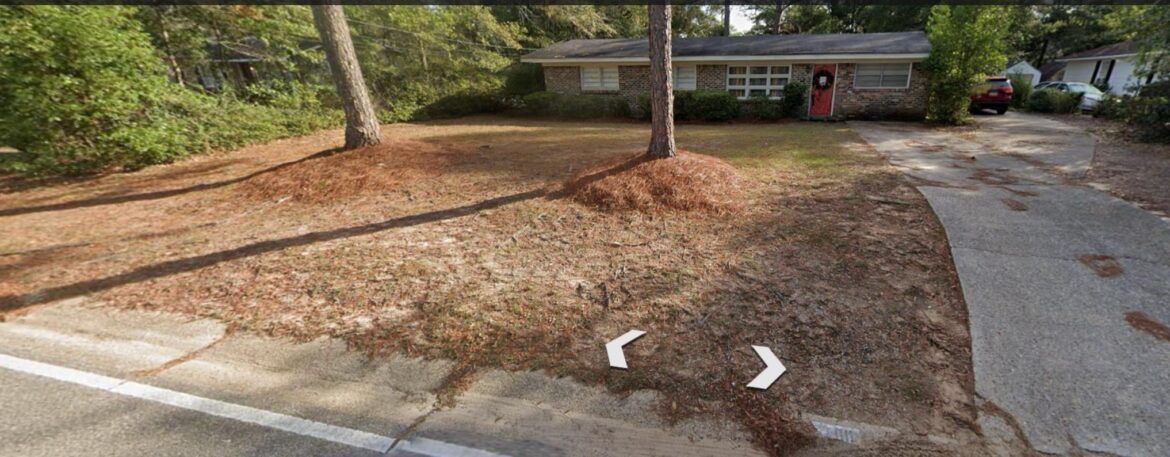 Sandy soil Sandy soil