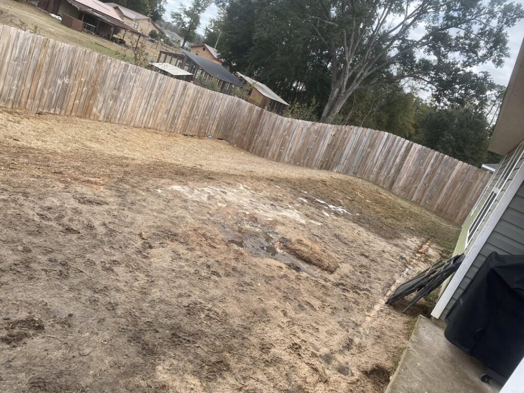 How do I get the grass to grow back?