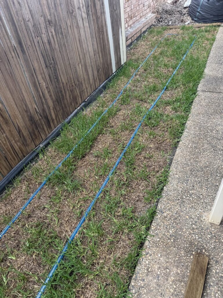 Any ideas on how to bring this lawn back? Any ideas on how to bring this lawn back?