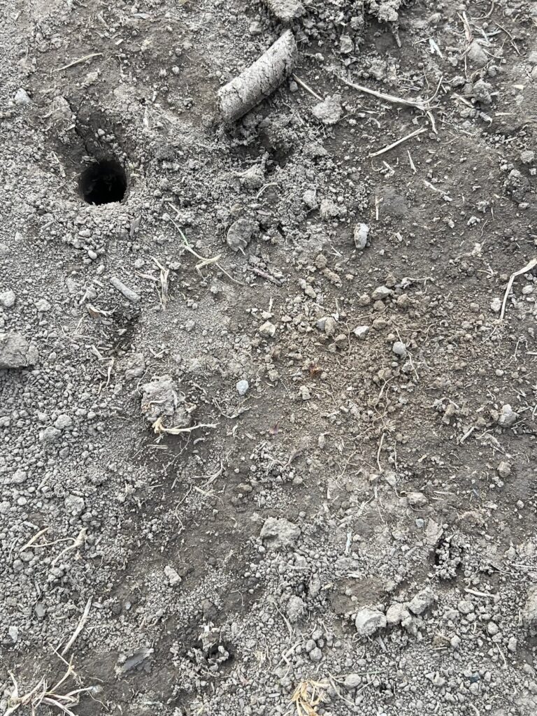 r/lawncare I have defied thee r/lawncare I have defied thee