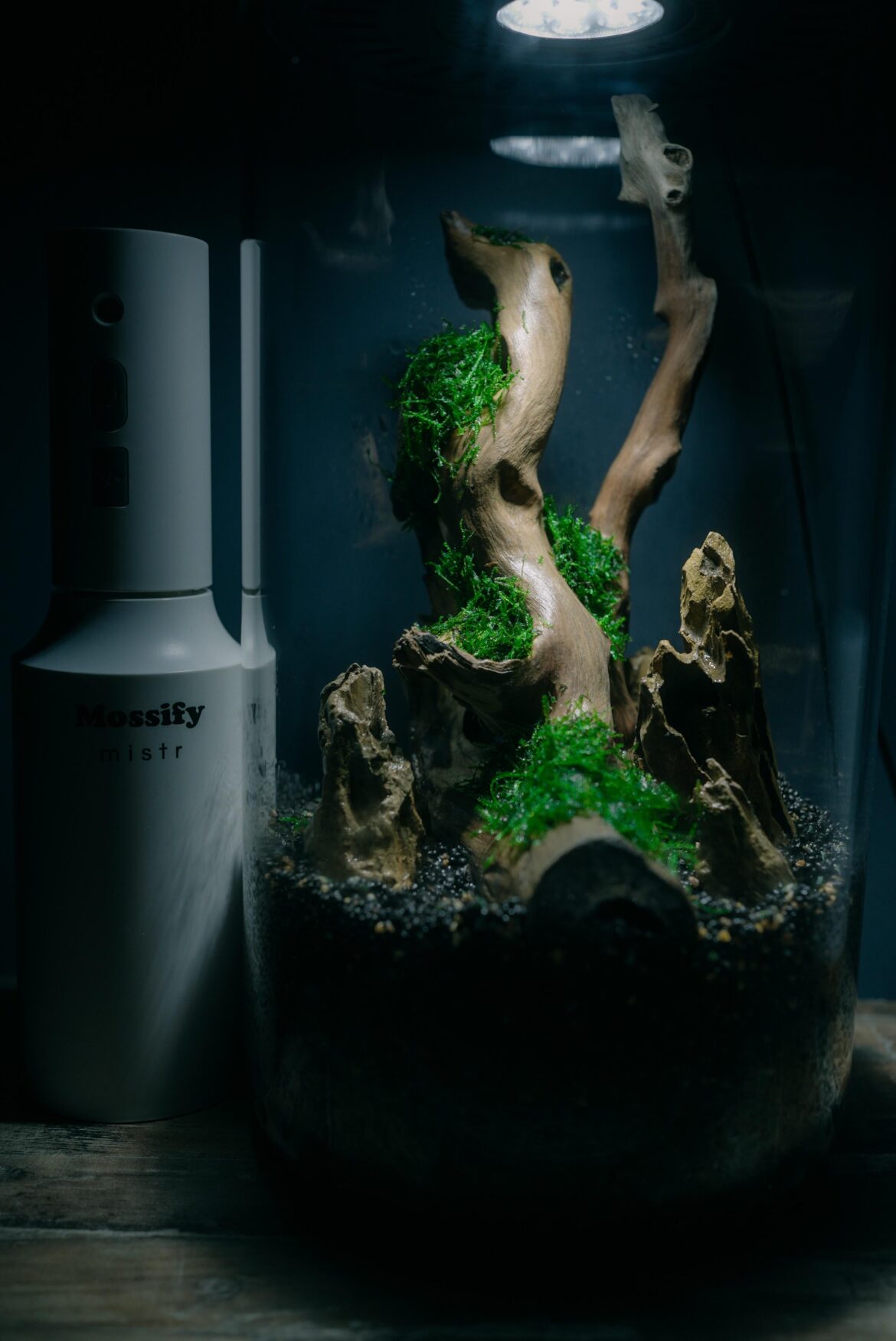 Recent built added some java moss