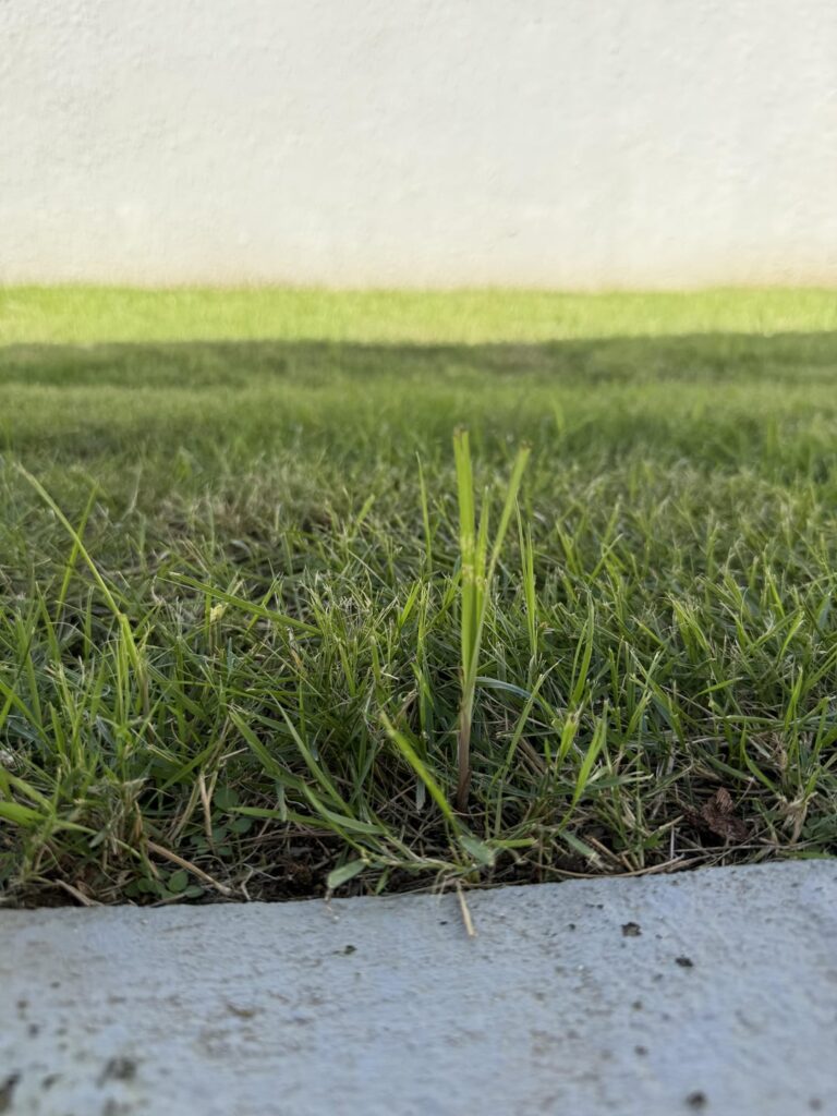 Is there any way to get rid of these?