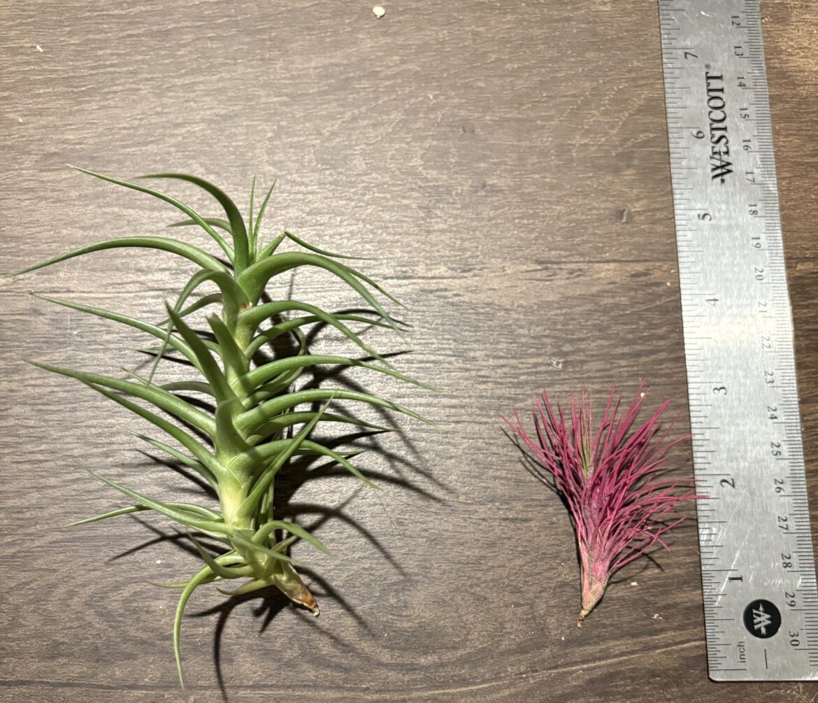 What do I have? Also display suggestions would be appreciated What do I have? Also display suggestions would be appreciated