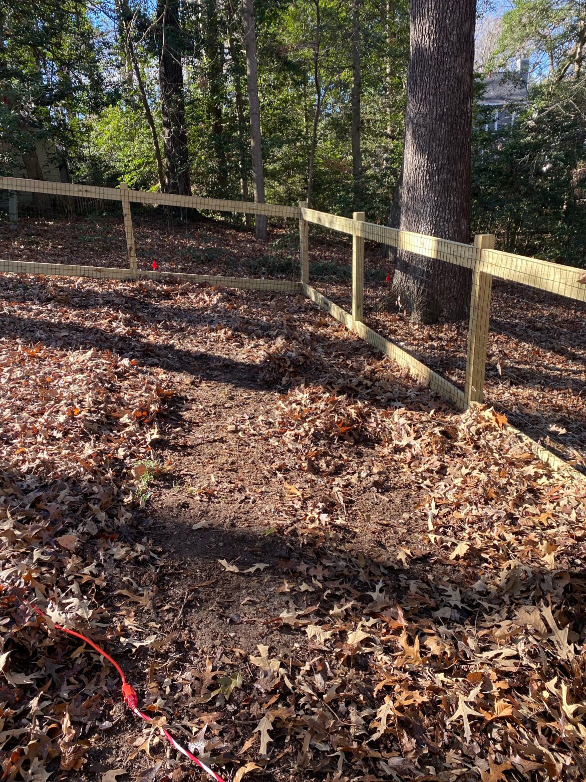 I bought a new house and went to blow the leaves, but only found dirt. It’s Jan. Leave the leaves until the spring and start fresh then? I bought a new house and went to blow the leaves, but only found dirt. It’s Jan. Leave the leaves until the spring and start fresh then?