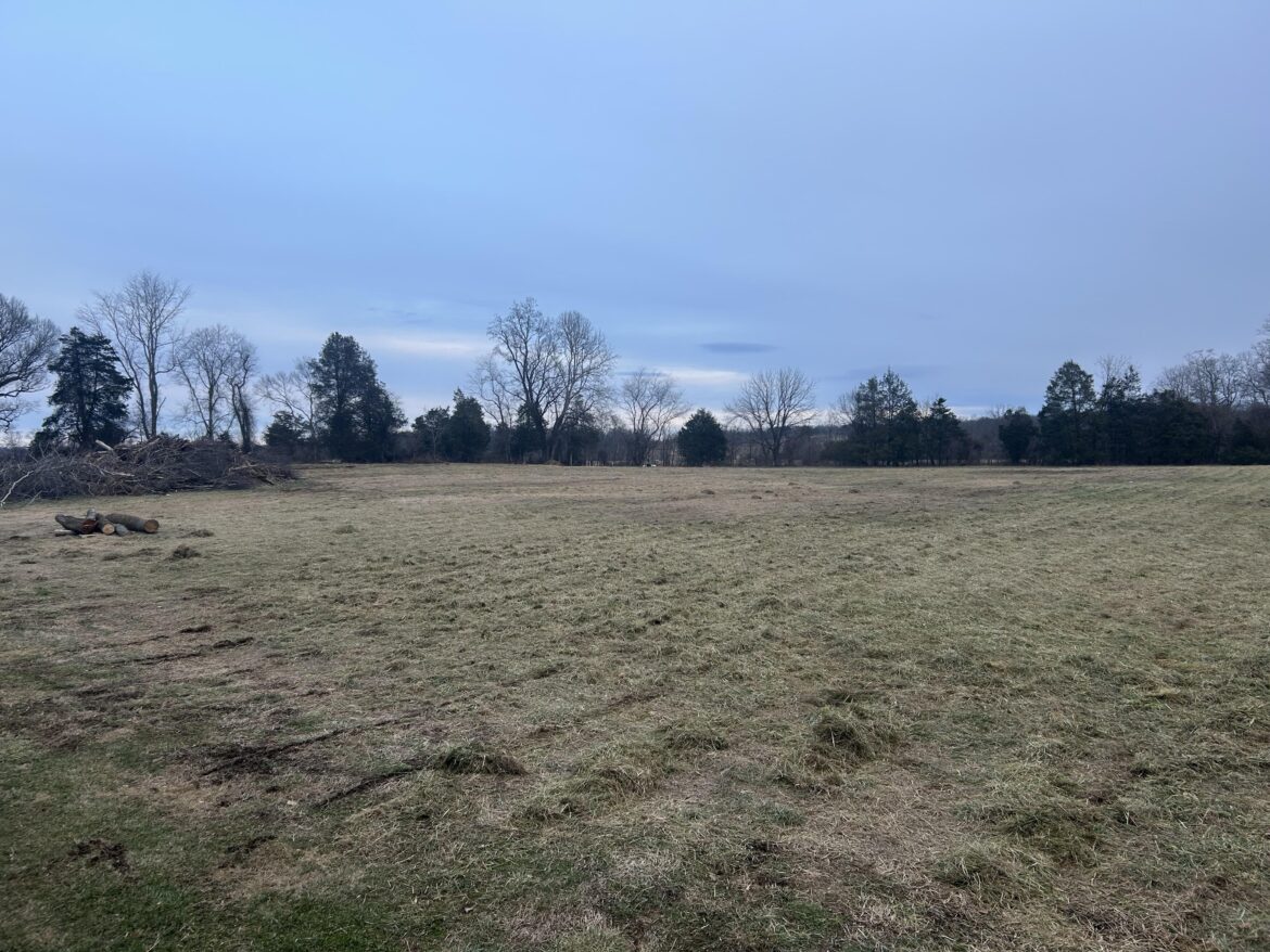 This is all about to be ploughed - how do I get grass?