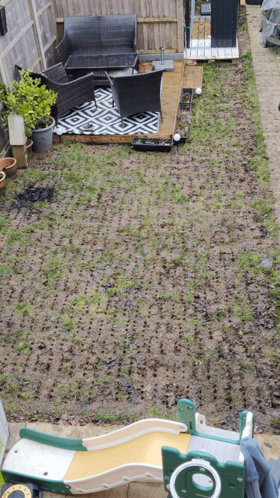 My wife s£#t talked my lawn… Please help! My wife s£#t talked my lawn... Please help!