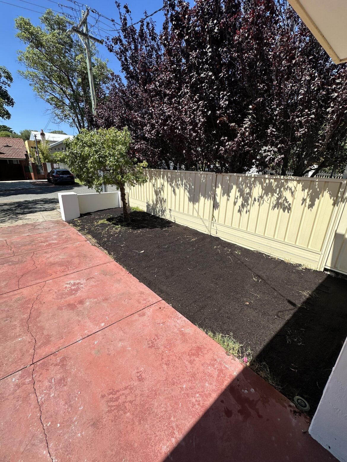 Will lawn regrow here?