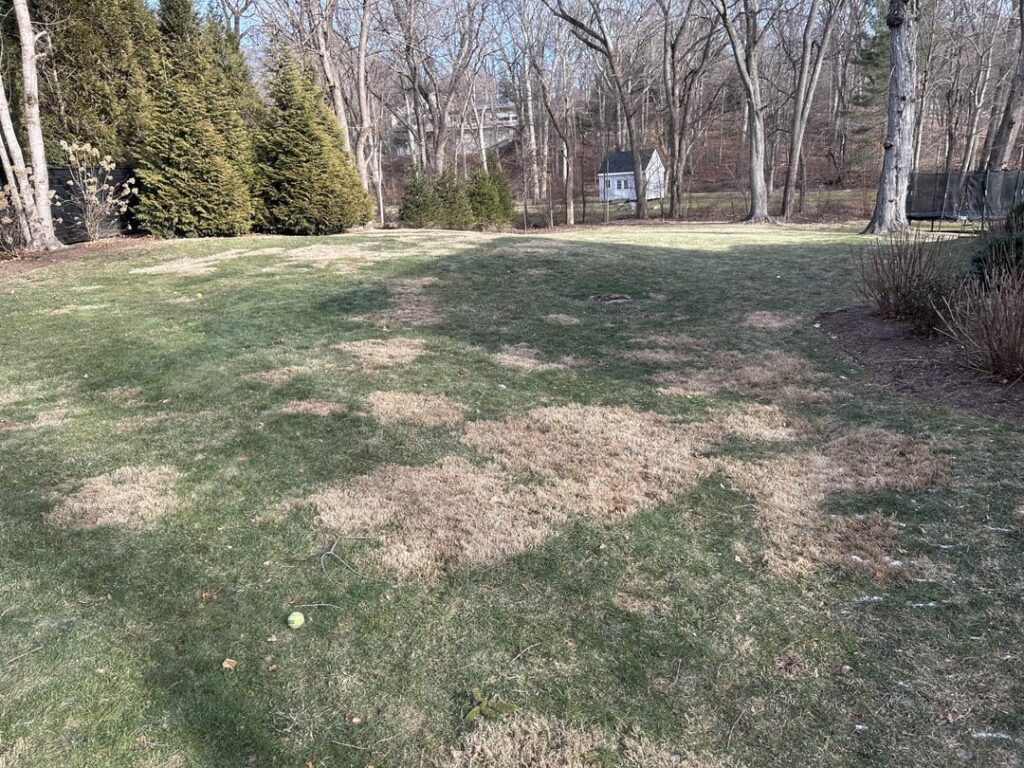 What are these color patches