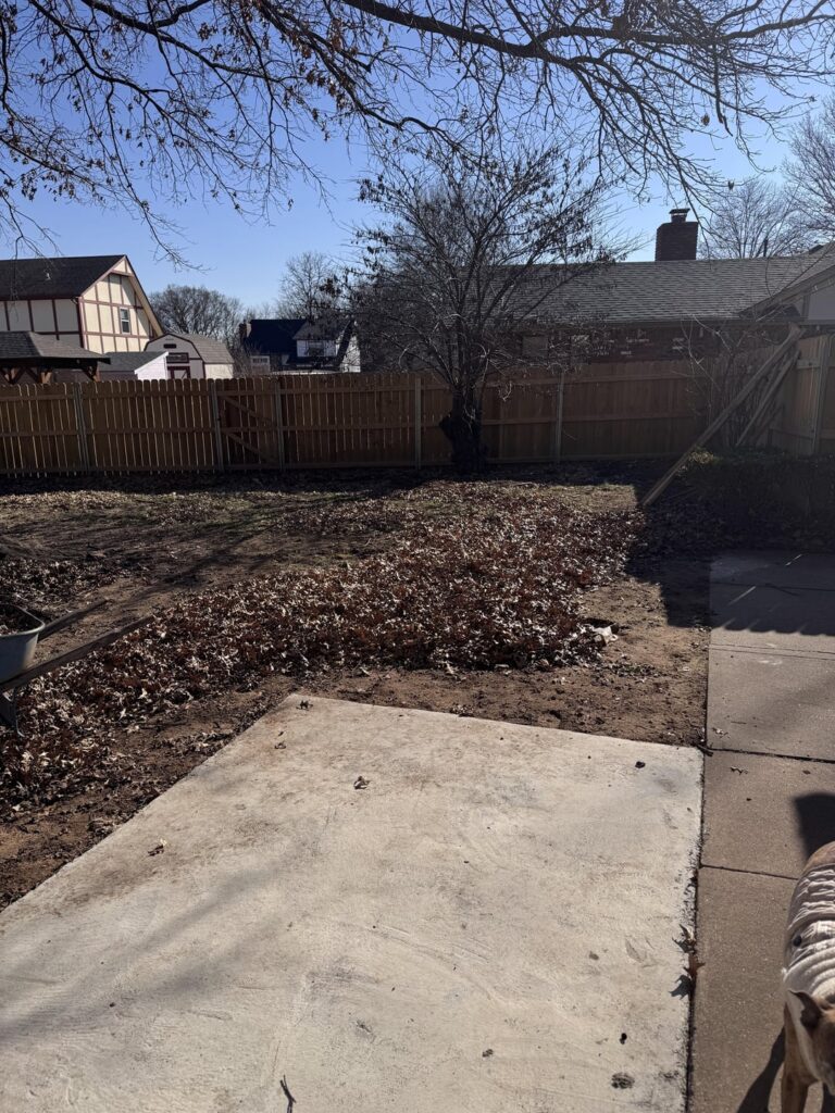 thinking of sodding backyard, opinions?