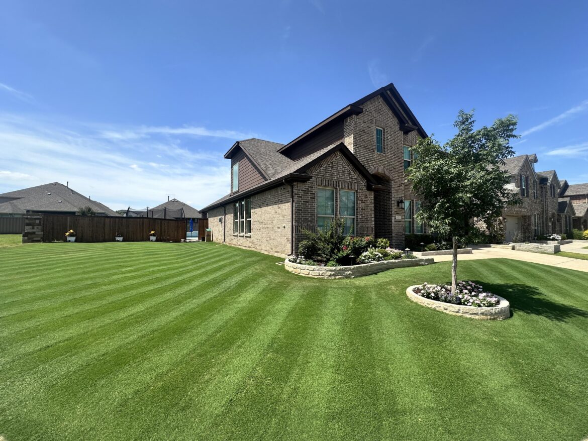 Specialize Lawn Care Questions (MBA course) Specialize Lawn Care Questions (MBA course)