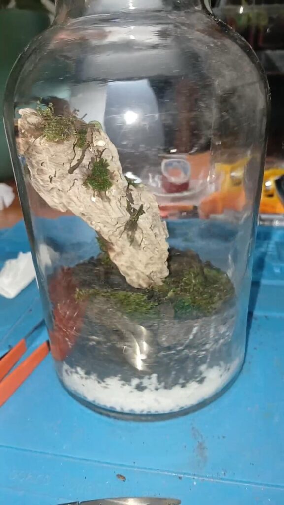 Two lil jars I am busy with. Yhe first will become the base for a lamp and the second is a gift for my ex boss