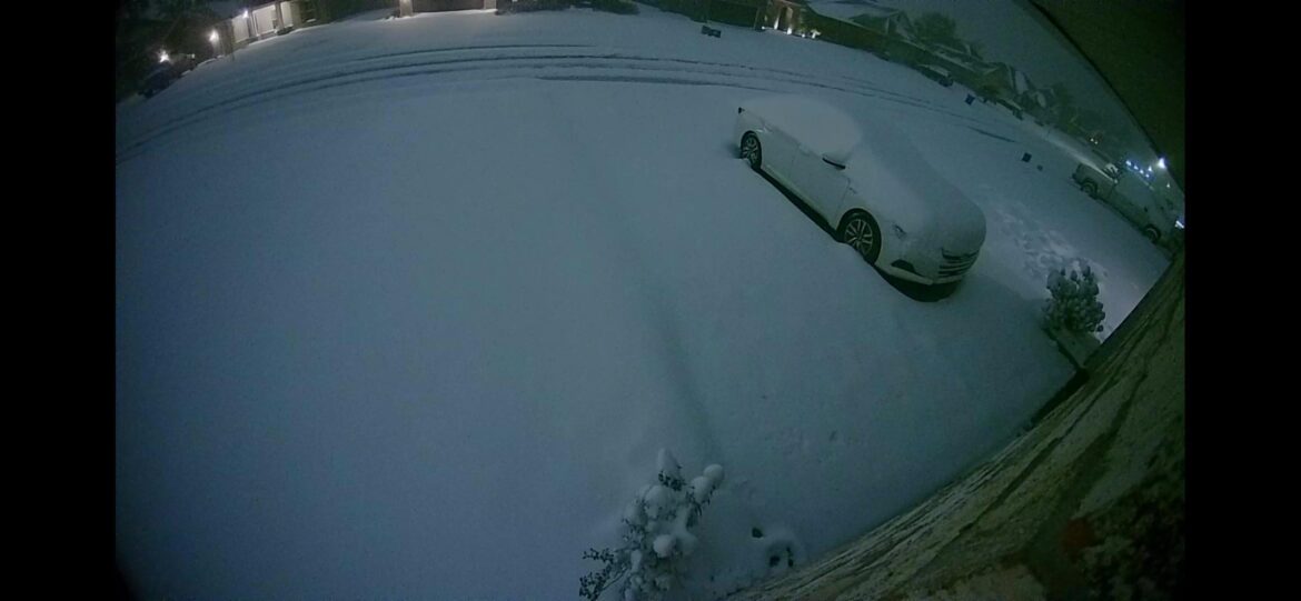 Centipede grass in the snow?