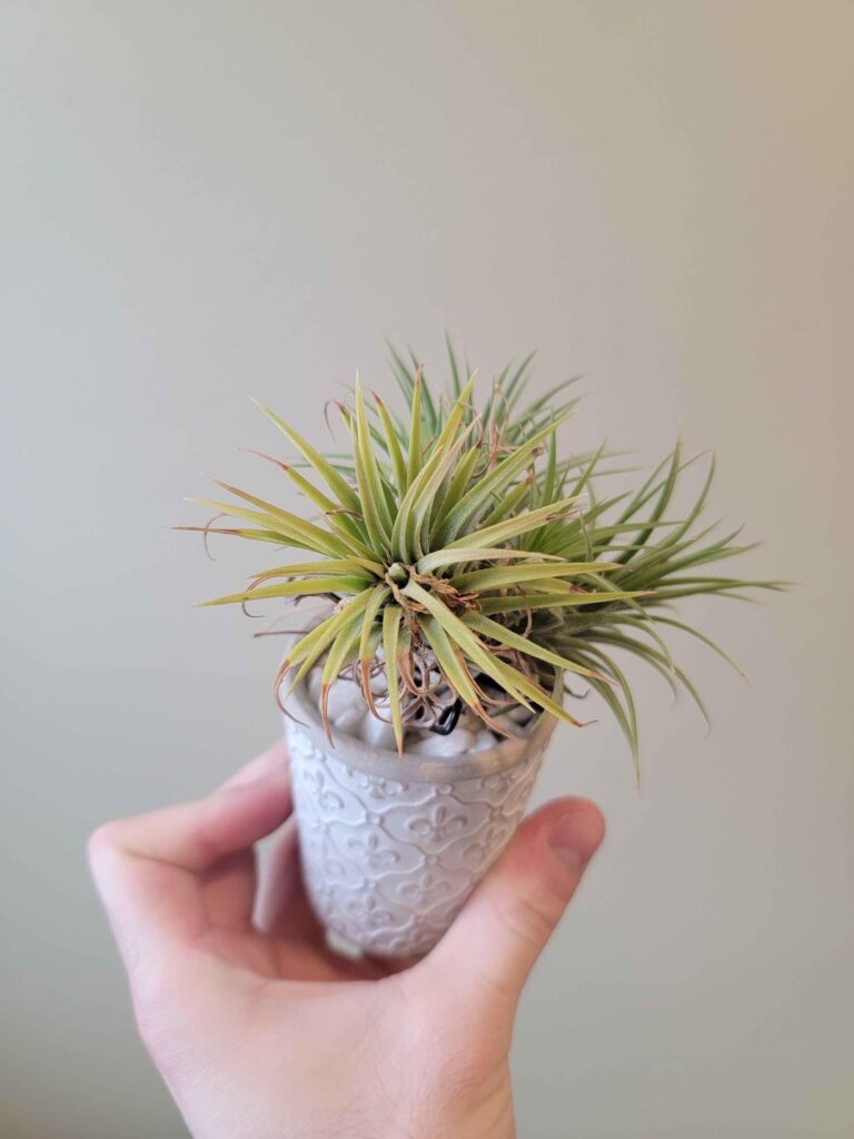 Has anyone encountered this issue before?