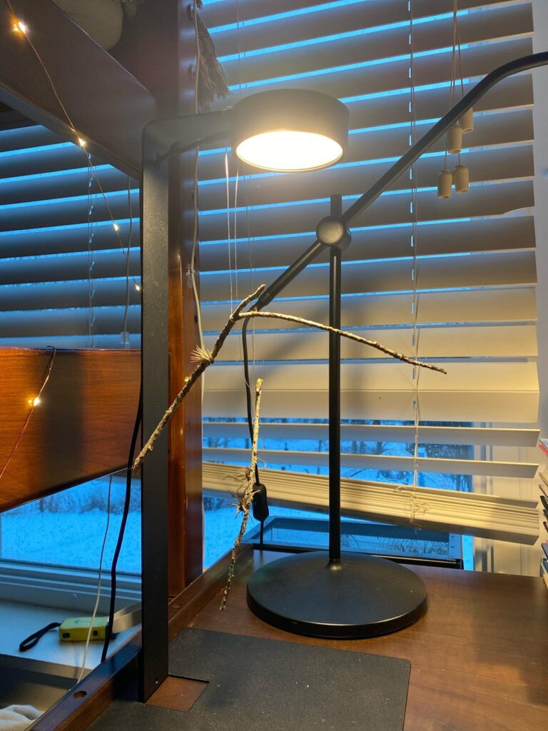 dorm room airplant display