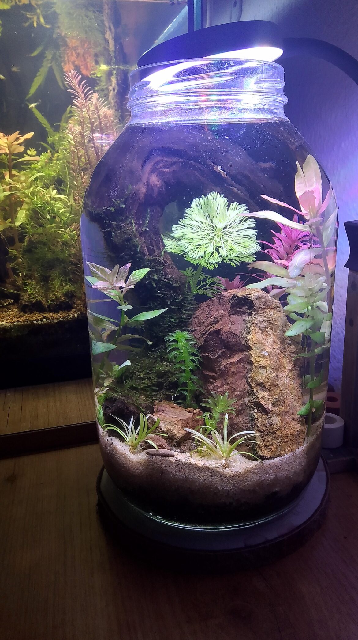Follow-up Follow-up