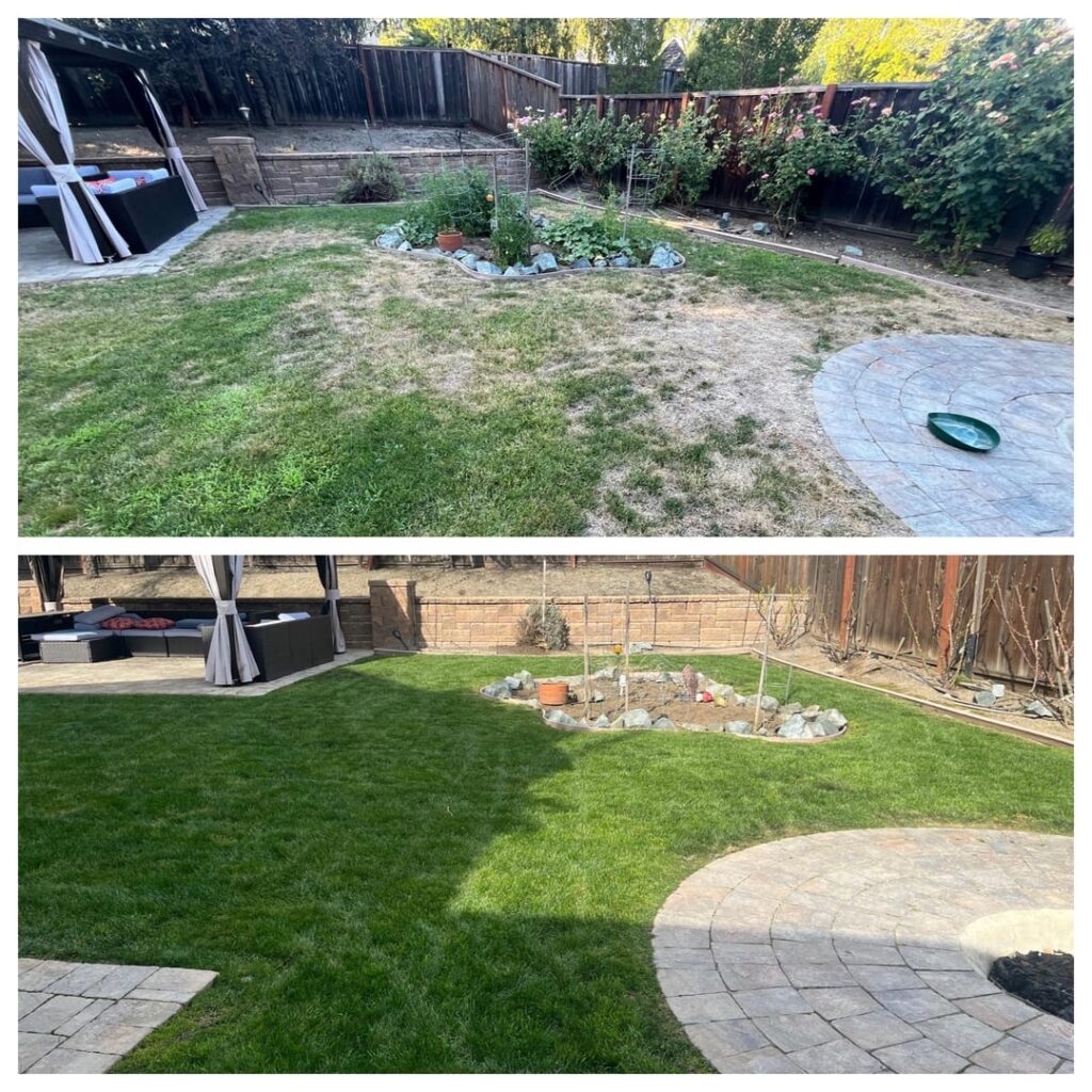 Zone 9B, Bay Area, Sep vs Jan images Zone 9B, Bay Area, Sep vs Jan images