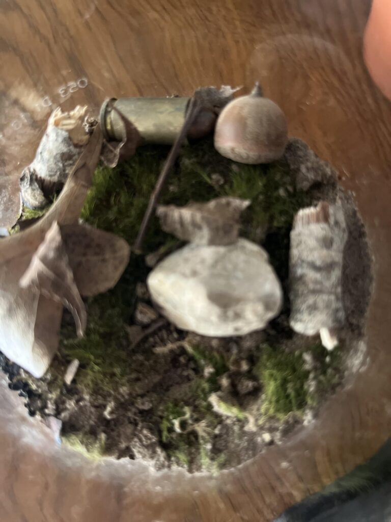 Is it okay? Or dying? 2nd month