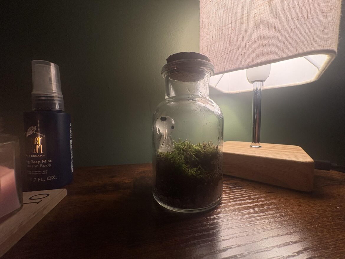 First terrarium – ideas? First terrarium - ideas?