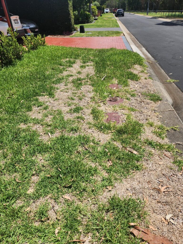 Beginner help – dead patches Beginner help - dead patches