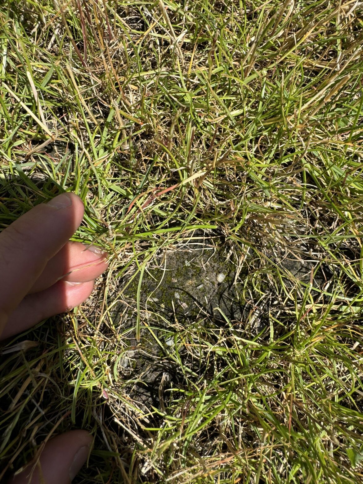 Is this a sign of poor water drainage?