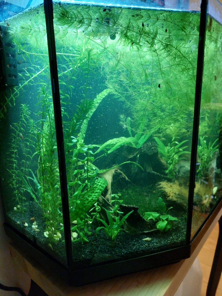 What do you think? What do you think?