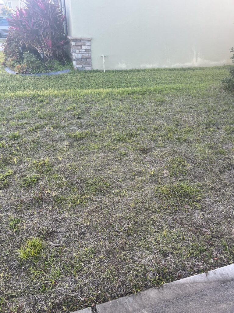 What can I do to save this? Hoping for DIY What can I do to save this? Hoping for DIY