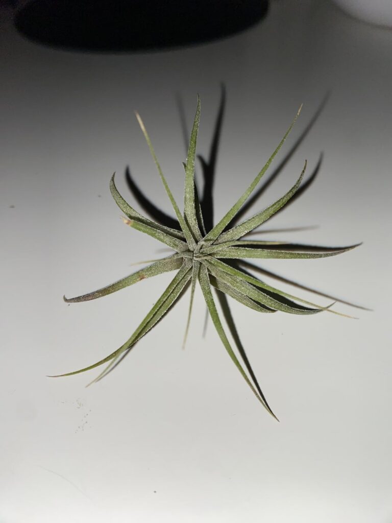 Please help Please help