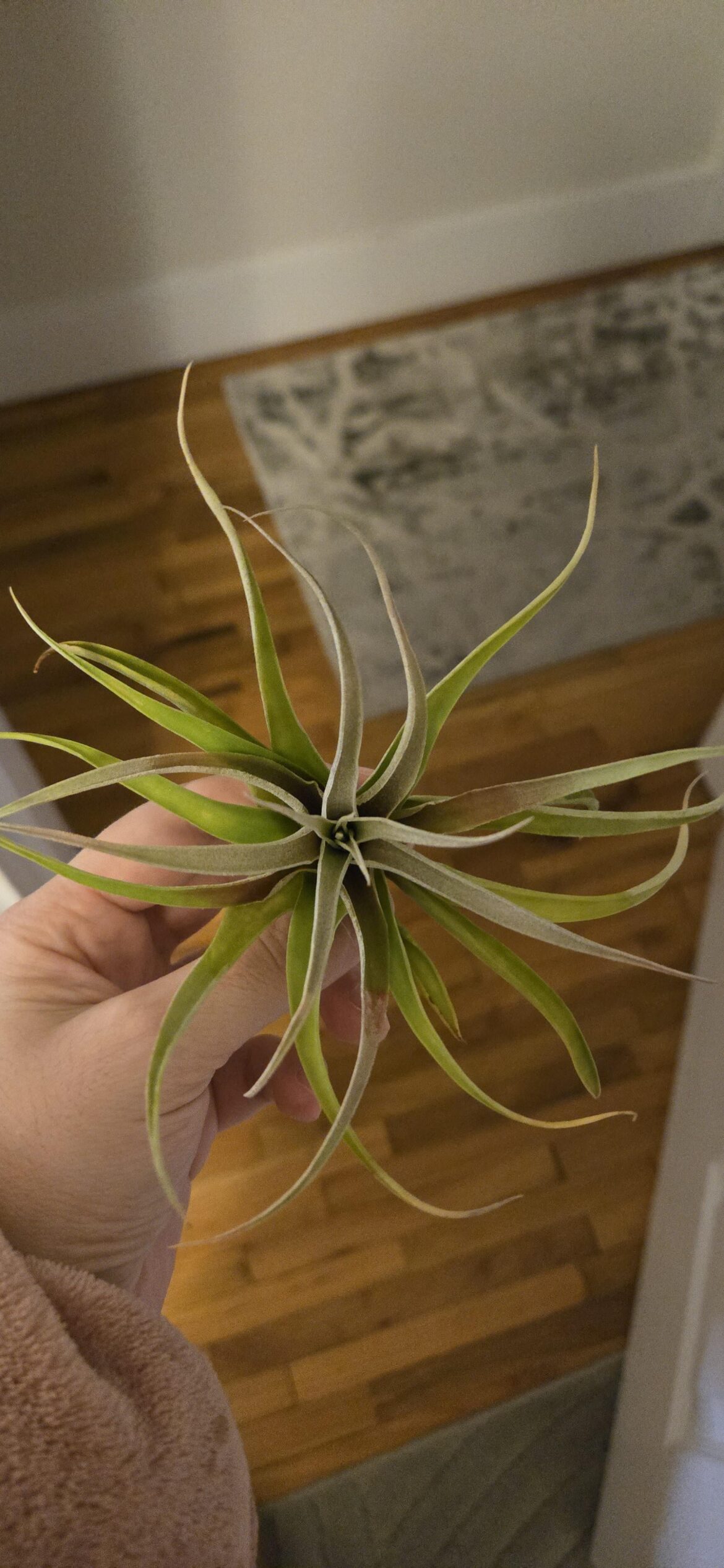 Does this thing look ok?