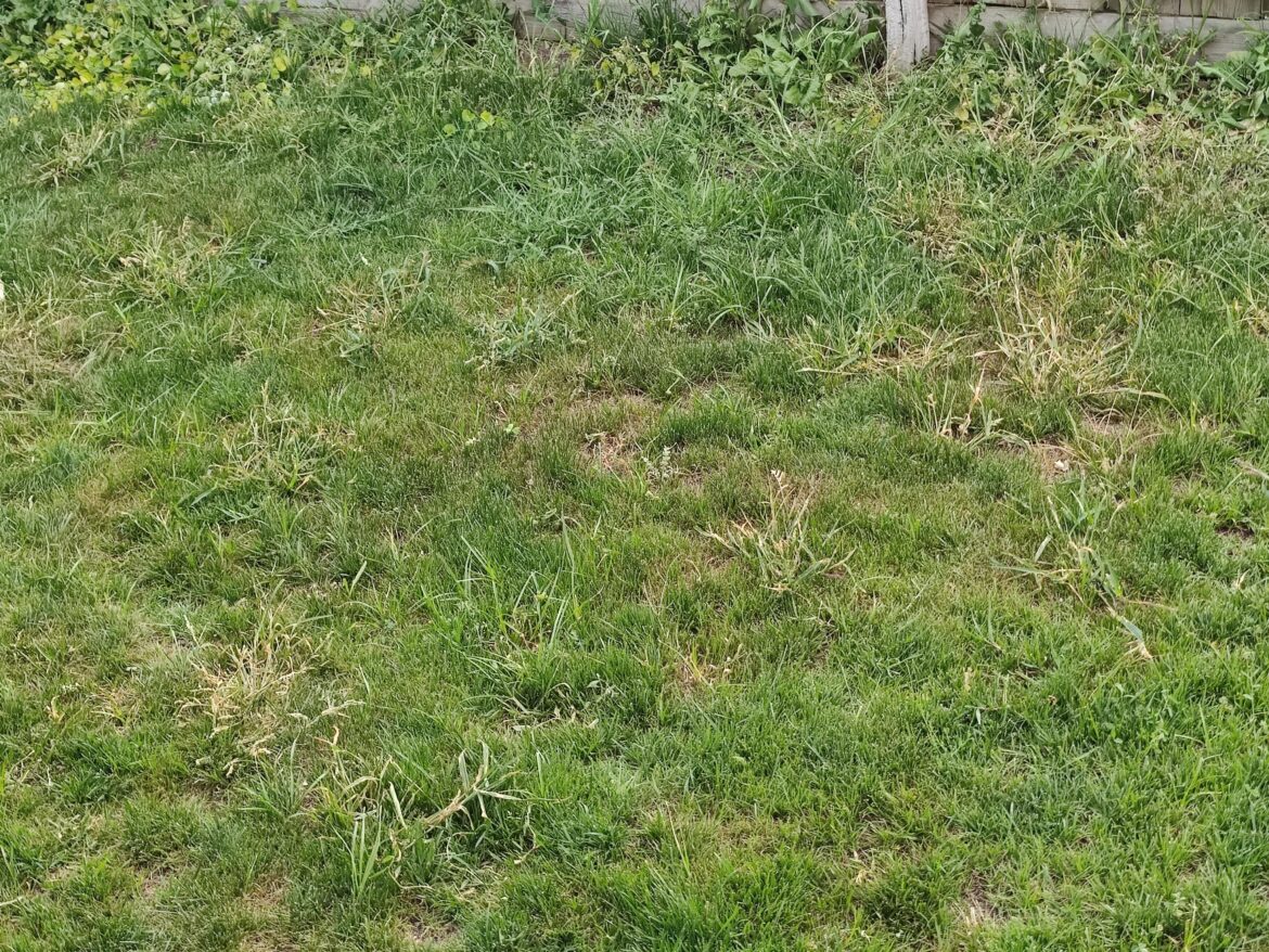 Did the weeds, now what