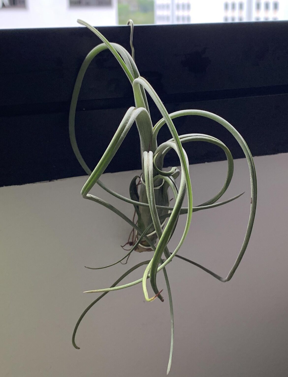 What’s this guy’s name?