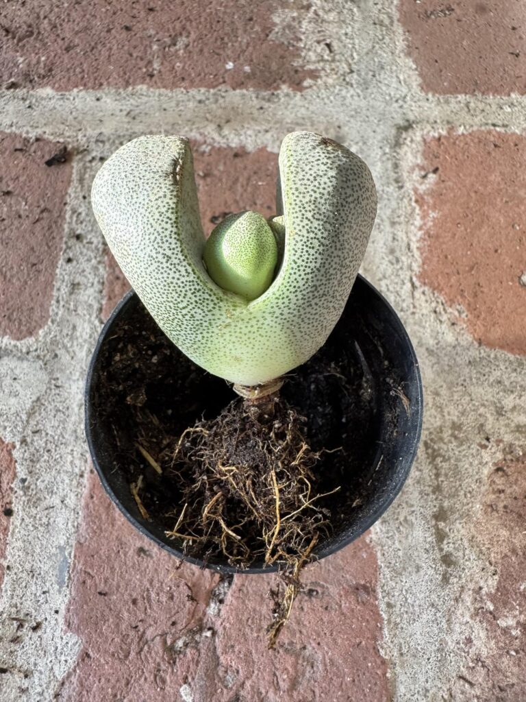 Does this look right? Does this look right?