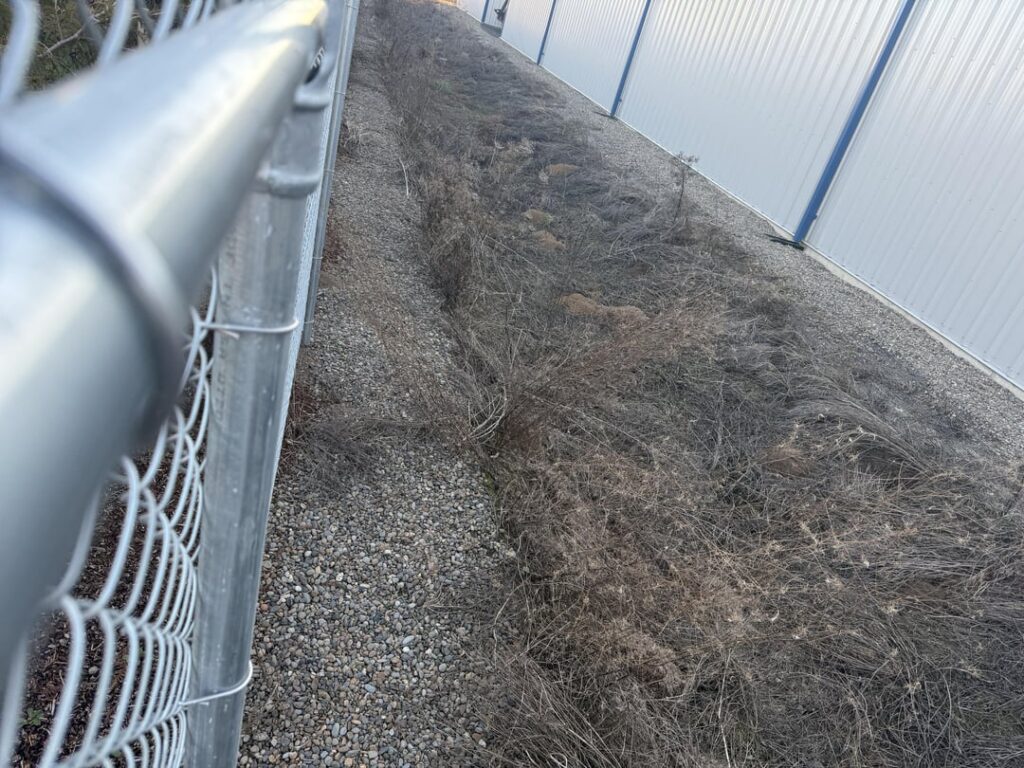 Mole or gopher hills