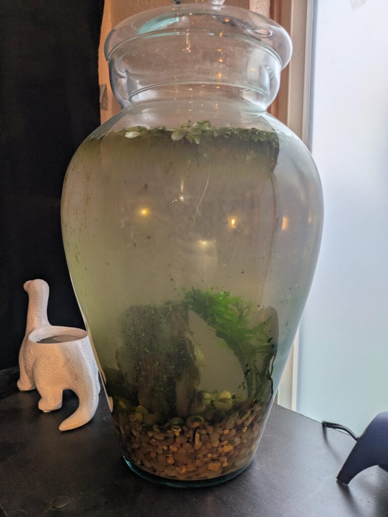What’s up with my jar? Total newbie, received as gift. What's up with my jar? Total newbie, received as gift.