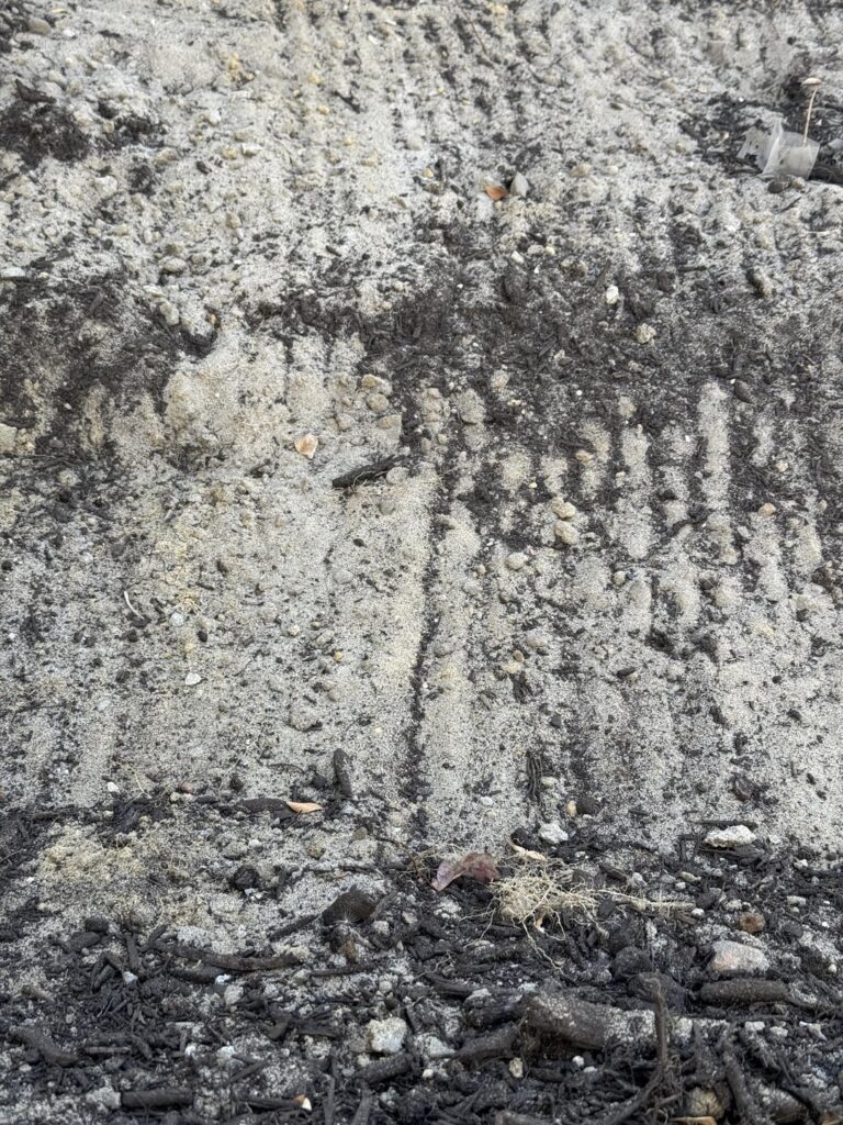 Soil for New Lawn Soil for New Lawn