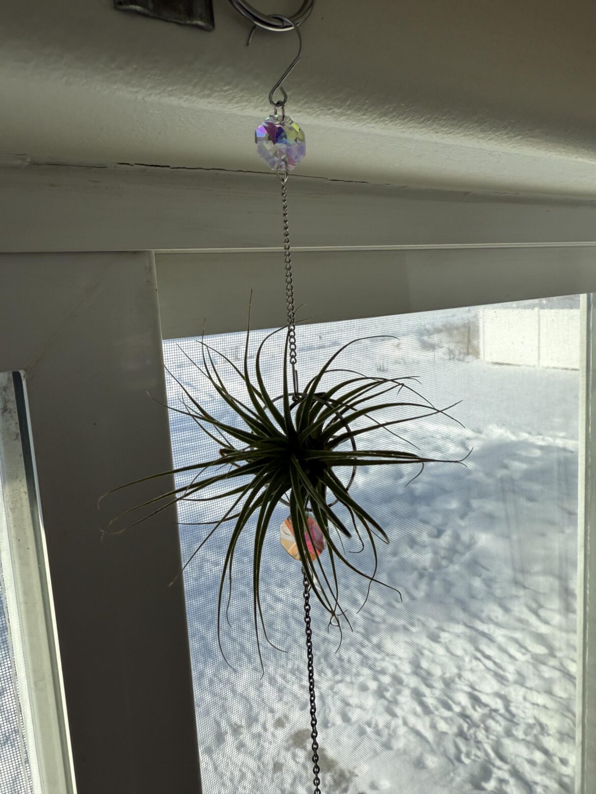 Is this a decent spot for him??