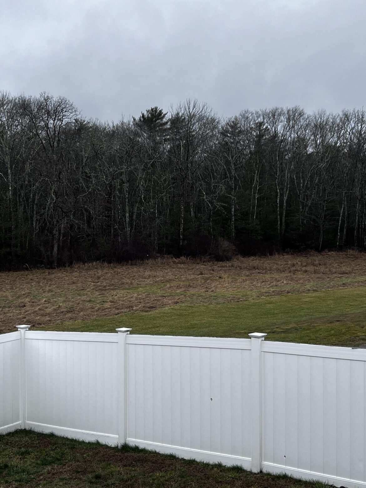 Looking for mowing advice Looking for mowing advice