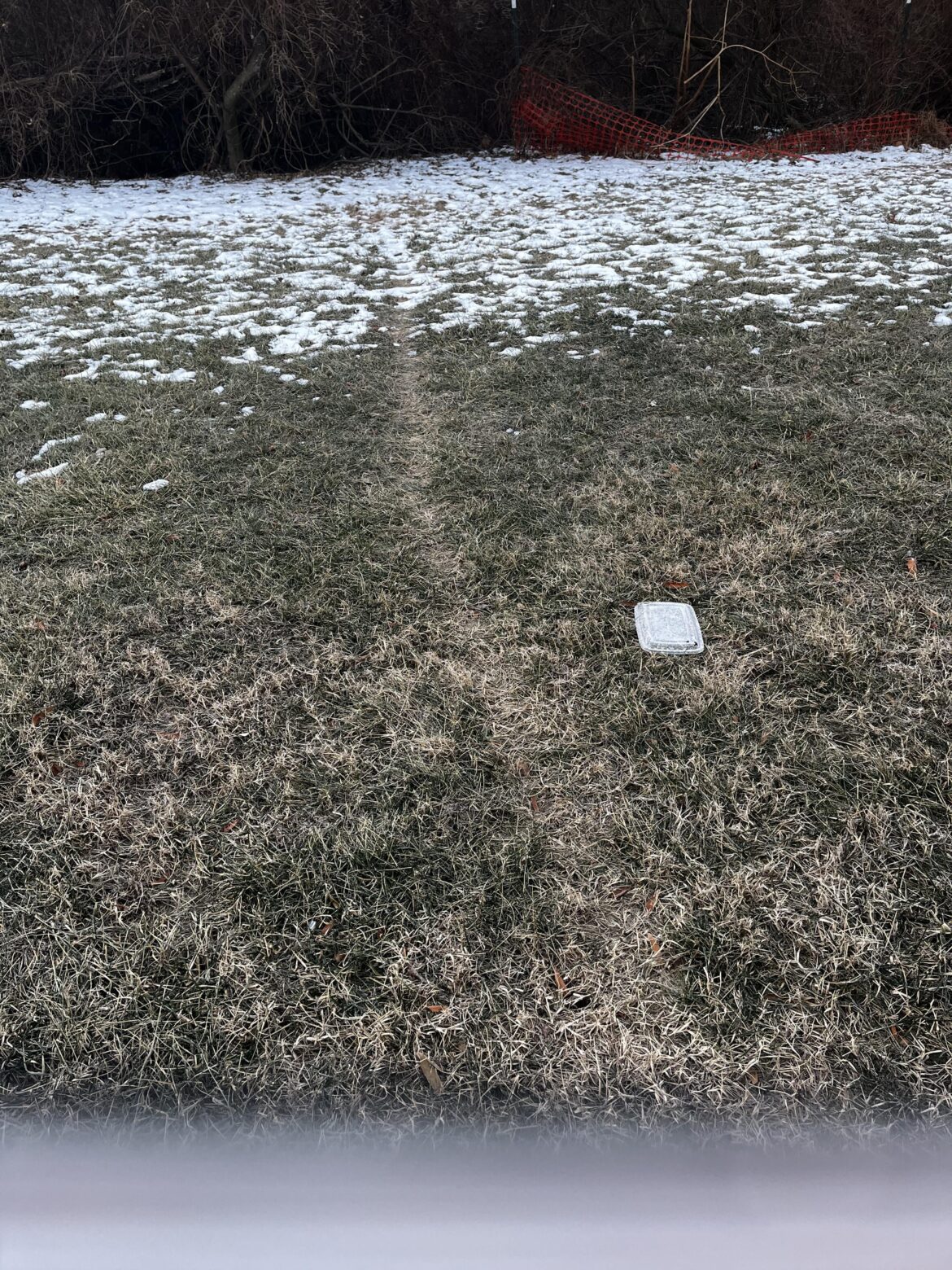 Random streak in grass