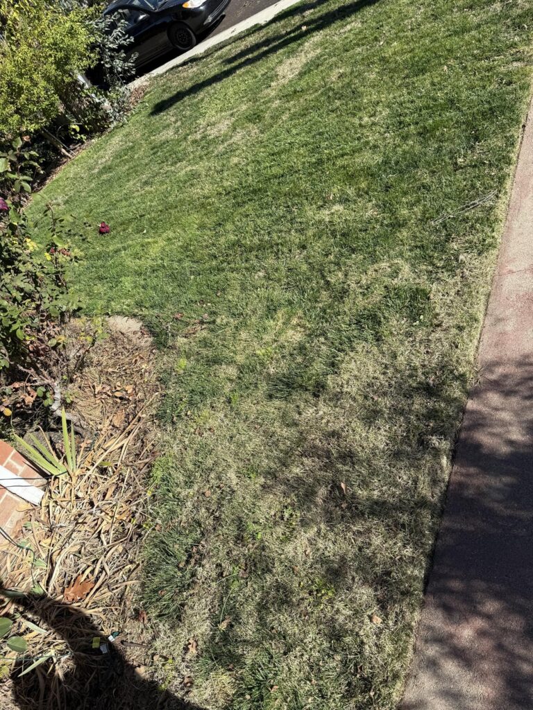 Can someone give me directions like I’m 5?