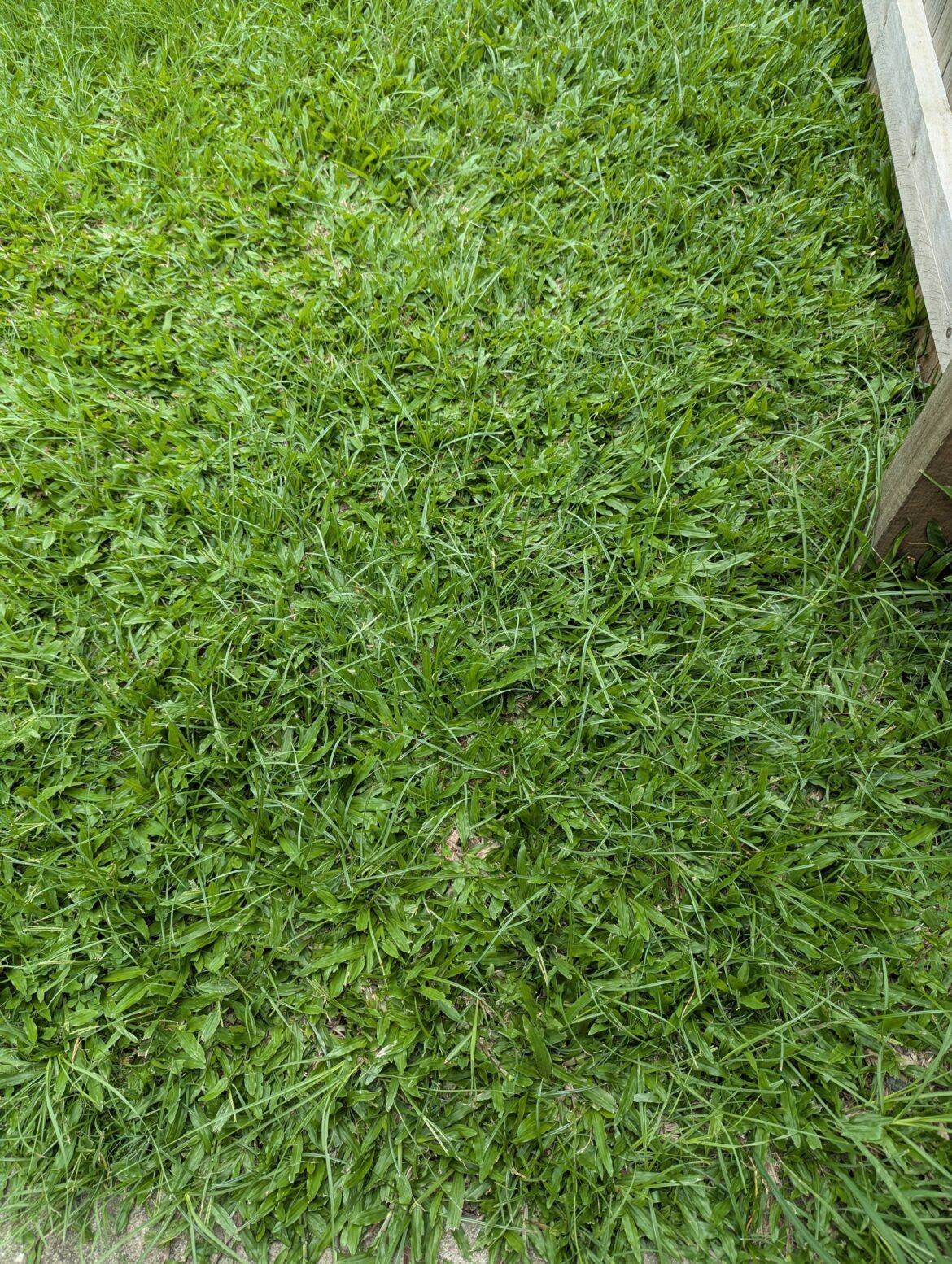 Getting started as a first time home owner Getting started as a first time home owner