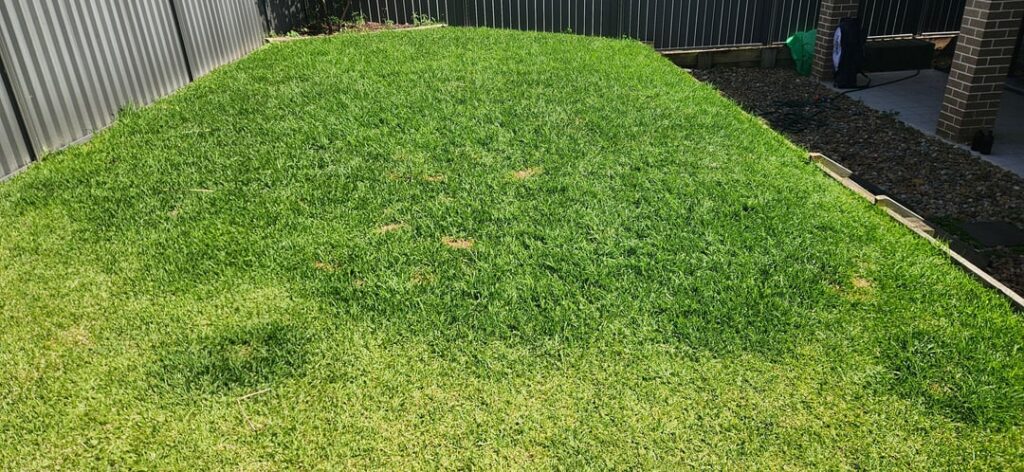 Glass/Weed identification