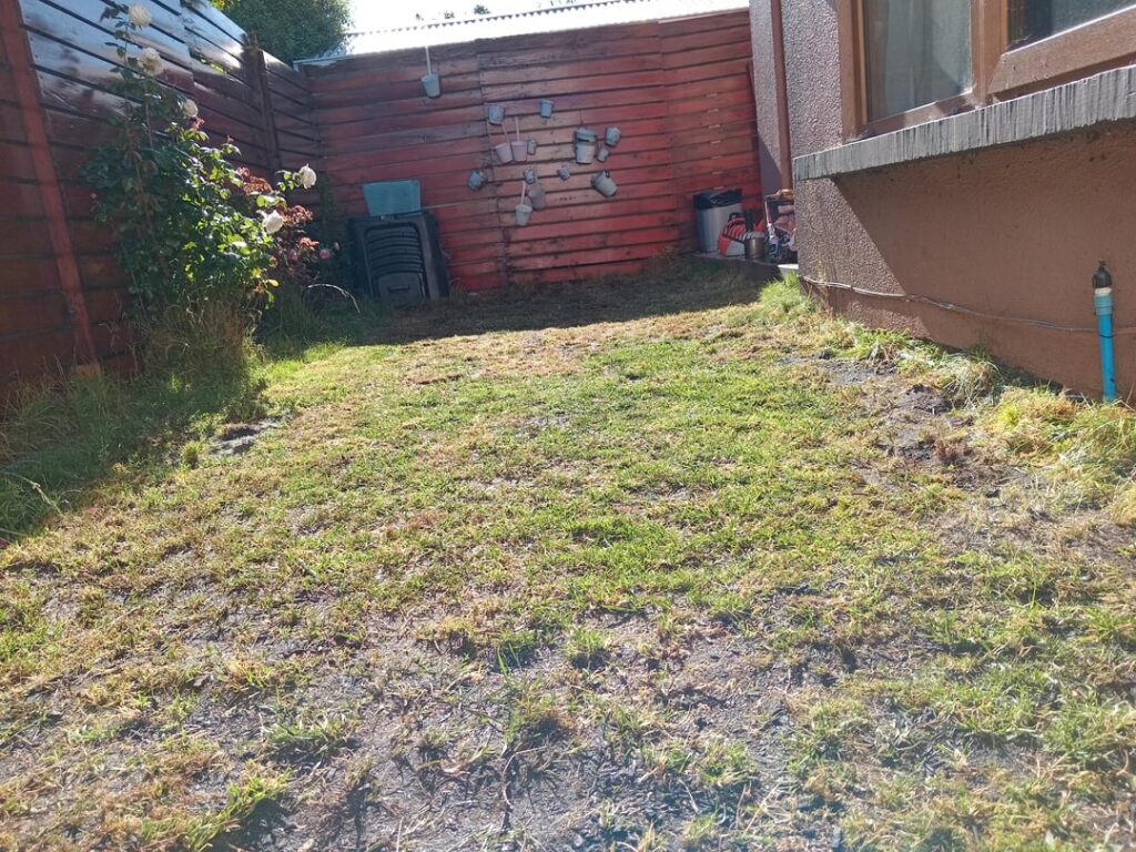 First time fixing my lawn. Happy with the results. First time fixing my lawn. Happy with the results.