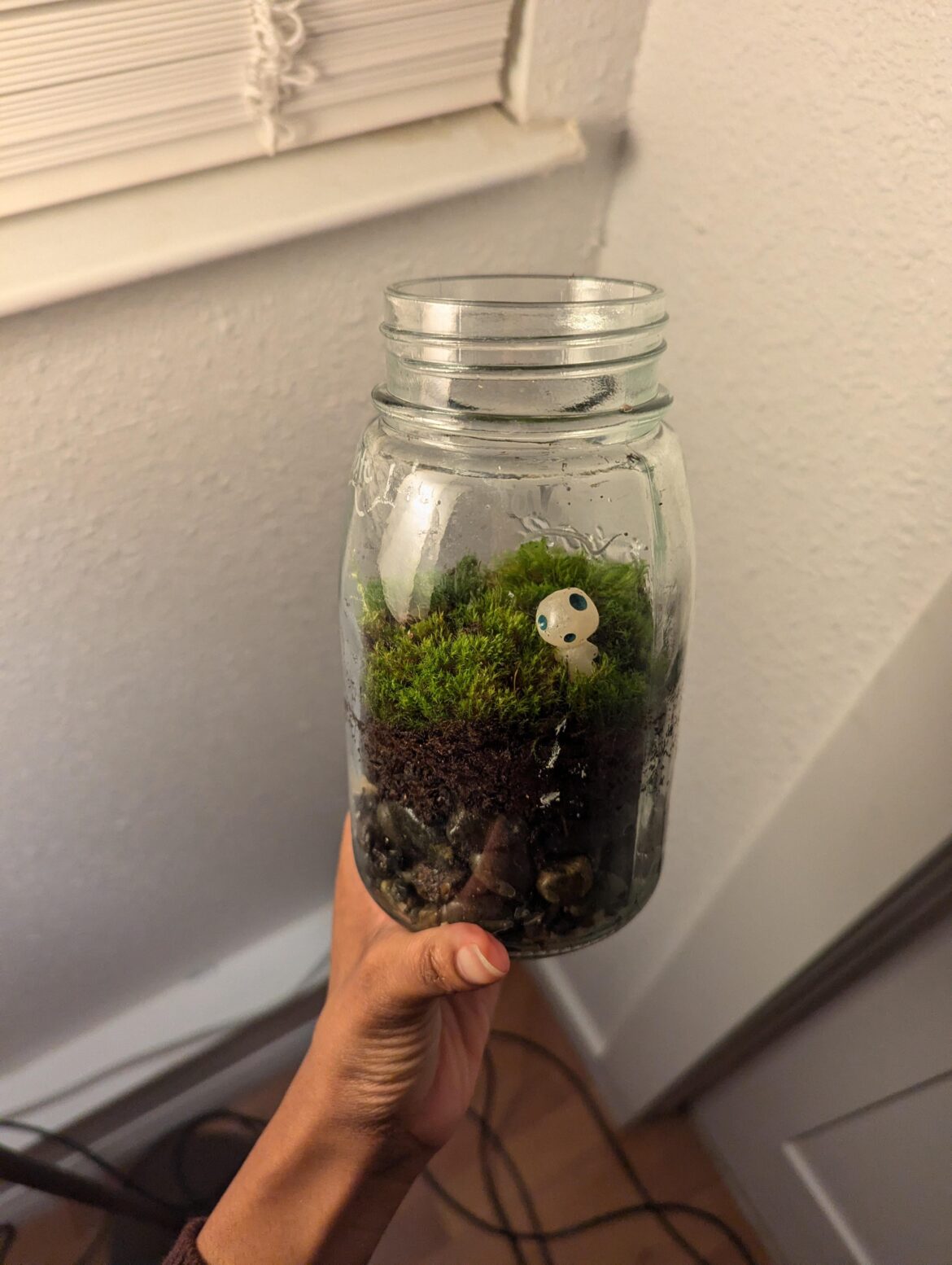 I've been admiring the moss around the PNW since I moved. I finally took a little home with me.